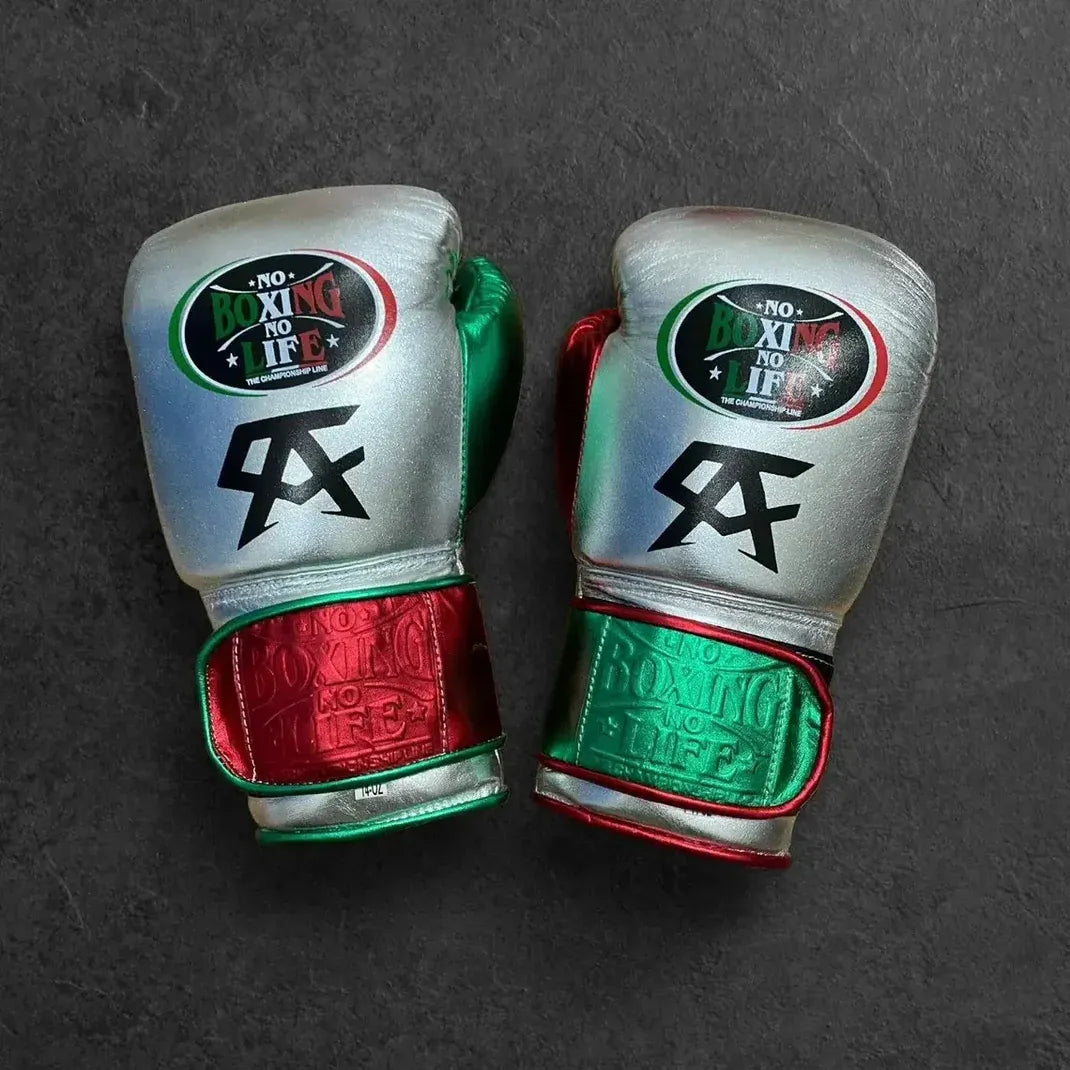 No Boxing No Life (NBNL) Premium Leather Boxing Gloves – Green, Red & Silver | Free Worldwide Shipping