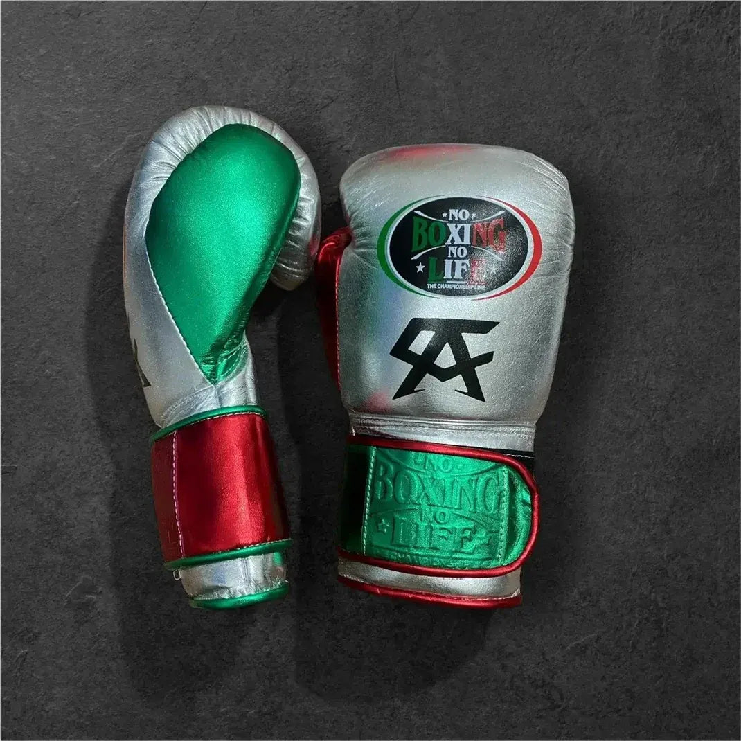No Boxing No Life (NBNL) Premium Leather Boxing Gloves – Green, Red & Silver | Free Worldwide Shipping