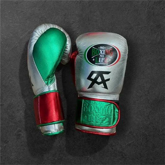 No Boxing No Life (NBNL) Premium Leather Boxing Gloves – Green, Red & Silver | Free Worldwide Shipping